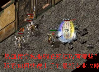 ��Ѫ����˽��GM��֪��������Щ�����������ο������֣�����רҵ���Խ���