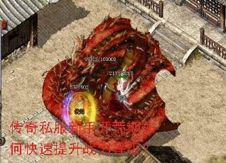 ����˽�����ֿ�������ο�������ս���ȼ���