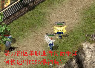 ����������ְҵ����������ο���ˢBOSS����װ��