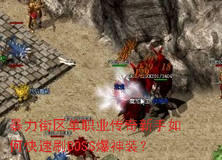 ����������ְҵ����������ο���ˢBOSS����װ��