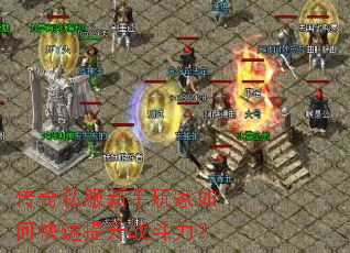 ����˽�����������ο�������ս������