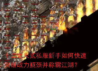 ʮ��֮�췡˽��������ο���ͻ��ս��ƿ�����ưԽ�����