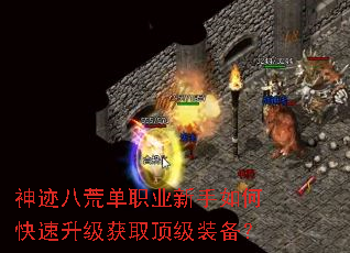 �񼣰˻ĵ�ְҵ������ο���������ȡ����װ����