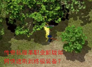 ����˽����ְҵ�°���ο���ˢ���ռ�װ����