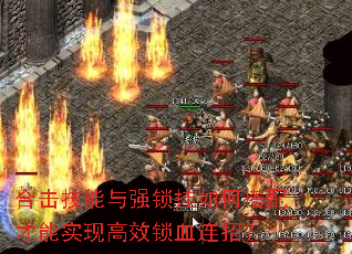 �ϻ�������ǿ������δ������ʵ�ָ�Ч��Ѫ���У�