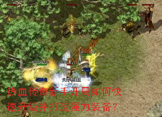 ��Ѫ�������ֿ�����ο�������������ǿ��װ����