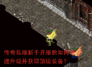 ����˽�����ֿ�������ο�����������ȡ����װ����