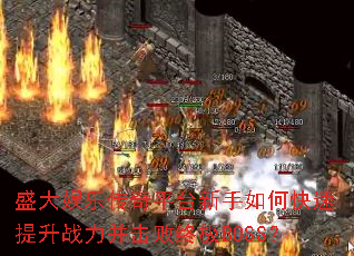 ʢ�����ִ���ƽ̨������ο�������ս���������ռ�BOSS��