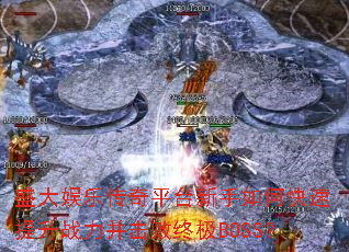 ʢ�����ִ���ƽ̨������ο�������ս���������ռ�BOSS��