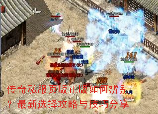 ����˽��ҳ��������α������ѡ�����뼼�ɷ���