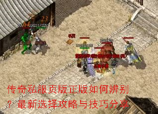 ����˽��ҳ��������α������ѡ�����뼼�ɷ���