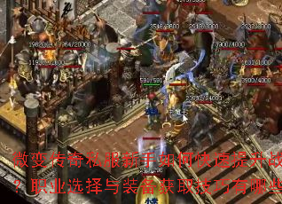 ΢�䴫��˽��������ο�������ս����ְҵѡ����װ����ȡ��������Щ��