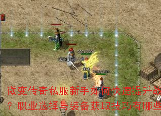 ΢�䴫��˽��������ο�������ս����ְҵѡ����װ����ȡ��������Щ��