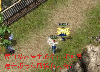 ����˽�����ֱر�����ο����������ȡϡ��װ����