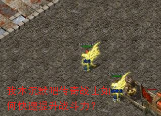 �ұ���Ĭ�ɴ���սʿ��ο�������ս������