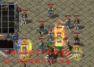 ����˽��������ο�����������Ч�����뼼�ɷ���