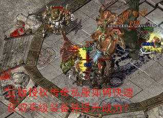 ������Ȩ����˽����ο��ٻ�ȡ�߼�װ��������ս����