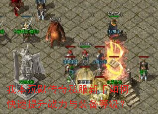 �ұ���Ĭ����˽��������ο�������ս����װ���ȼ���