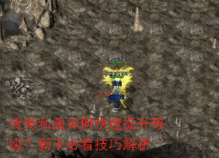 ����˽����ο��������ȼ������ֱؿ����ɽ���