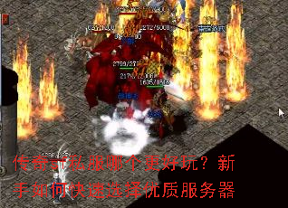 ����sf˽���ĸ������棿������ο���ѡ�����ʷ�����