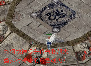 ��ο�����������˽���������а��еĽ�ɫս����