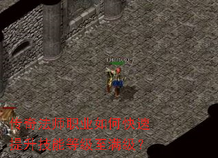 ���淨ʦְҵ��ο����������ܵȼ���������