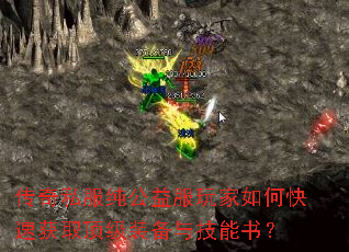 ����˽��������������ο��ٻ�ȡ����װ���뼼���飿