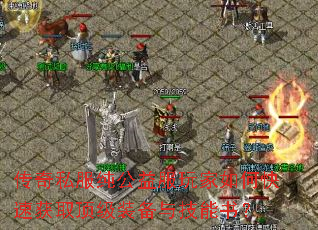 ����˽��������������ο��ٻ�ȡ����װ���뼼���飿