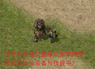 ����˽��������������ο��ٻ�ȡ����װ���뼼���飿