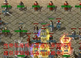 ����˽��������������ο��ٻ�ȡ����װ���뼼���飿