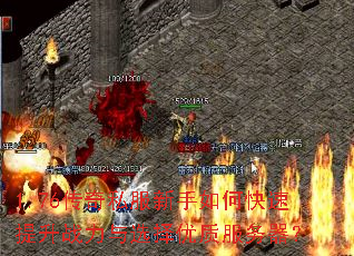 1.76����˽��������ο�������ս����ѡ�����ʷ�������