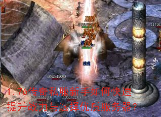 1.76����˽��������ο�������ս����ѡ�����ʷ�������