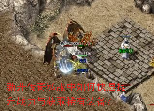 �¿�����˽������ο�������ս�����ȡϡ��װ����