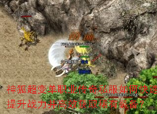 ������䵥ְҵ����˽����ο�������ս������Ч��ȡϡ��װ����