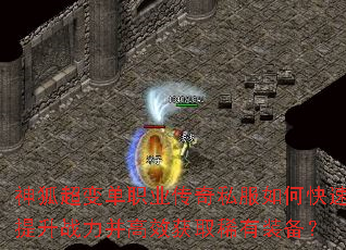 ������䵥ְҵ����˽����ο�������ս������Ч��ȡϡ��װ����