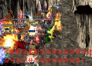 ������䵥ְҵ����˽����ο�������ս������Ч��ȡϡ��װ����