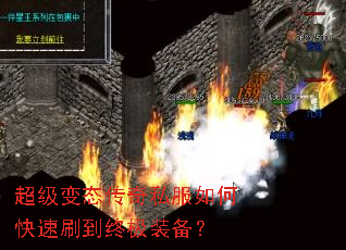 ������̬����˽����ο���ˢ���ռ�װ����