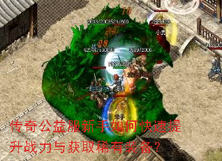 ���湫���������ο�������ս�����ȡϡ��װ����