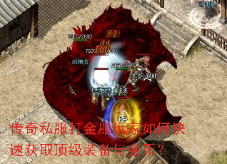 ����˽�����������ο��ٻ�ȡ����װ�����ң�