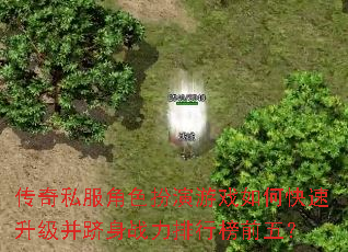 ����˽����ɫ������Ϸ��ο�������������ս�����а�ǰ�壿