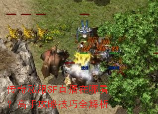 ����˽��SFֱ�����Ŀ������ֹ��Լ���ȫ����