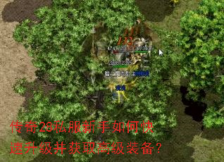 ����28˽��������ο�����������ȡ�߼�װ����