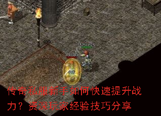 ����˽��������ο�������ս����������Ҿ��鼼�ɷ���