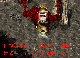 ����˽�����������ο�������ս�������ر�����ȫ������