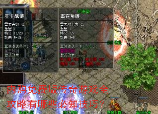 �ڹ���Ѱ洫����Ϸȫ��������Щ��֪���ɣ�