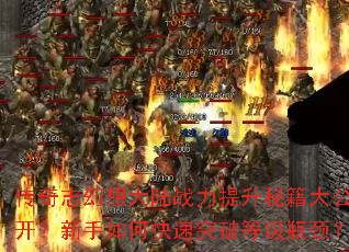 ����־�����½ս�������ؼ��󹫿���������ο���ͻ�Ƶȼ�ƿ����