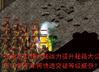 ����־�����½ս�������ؼ��󹫿���������ο���ͻ�Ƶȼ�ƿ����