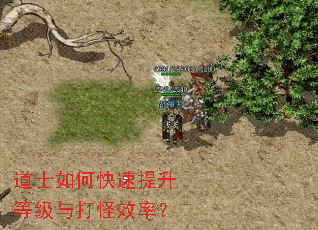 ��ʿ��ο��������ȼ�����Ч�ʣ�