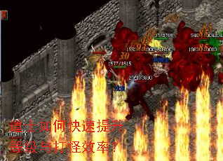 ��ʿ��ο��������ȼ�����Ч�ʣ�