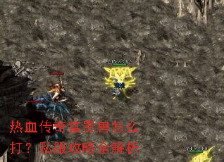 ��Ѫ���渻������ô��˽������ȫ����